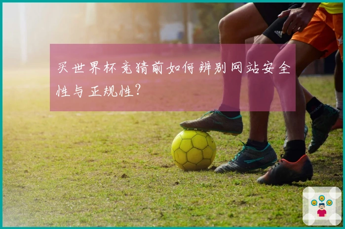 买世界杯竞猜前如何辨别网站安全性与正规性？